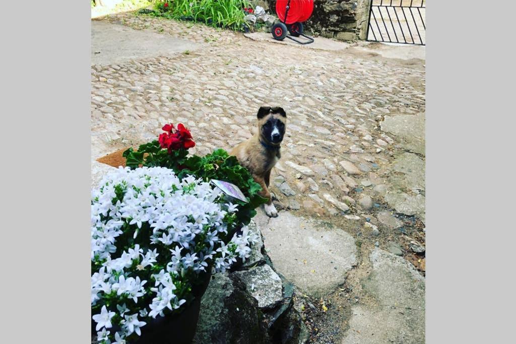 Casa La Biera Villa La Velilla  Kültér fotó